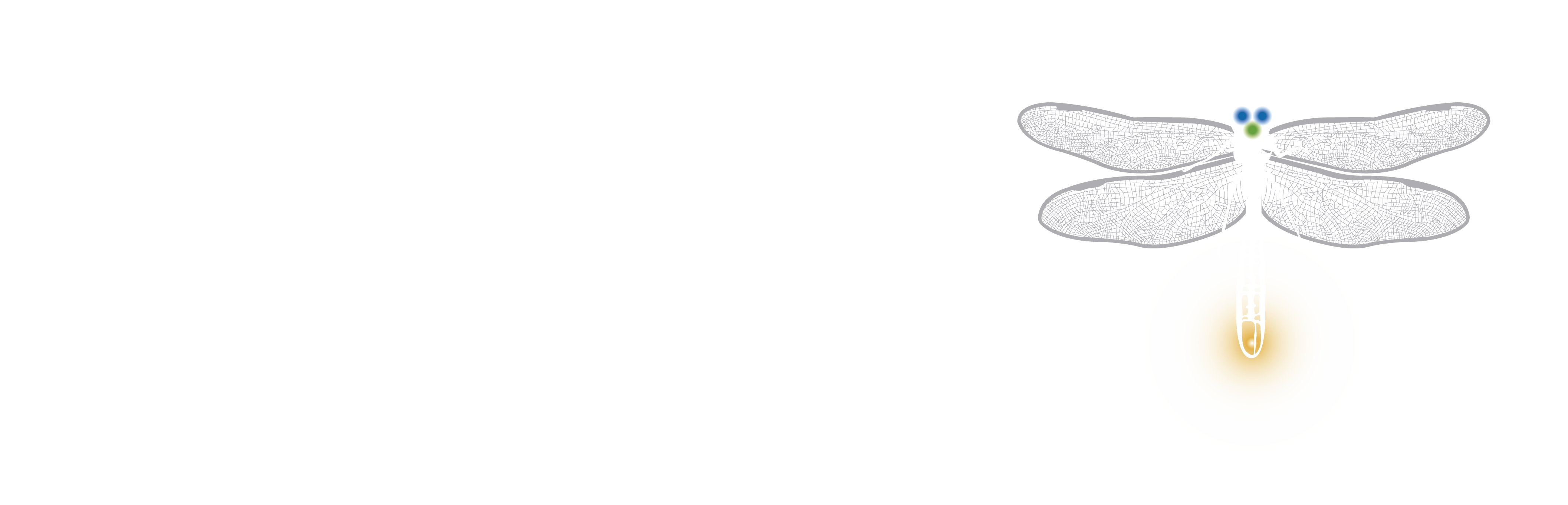 Irreversible Cinema Cielo Content